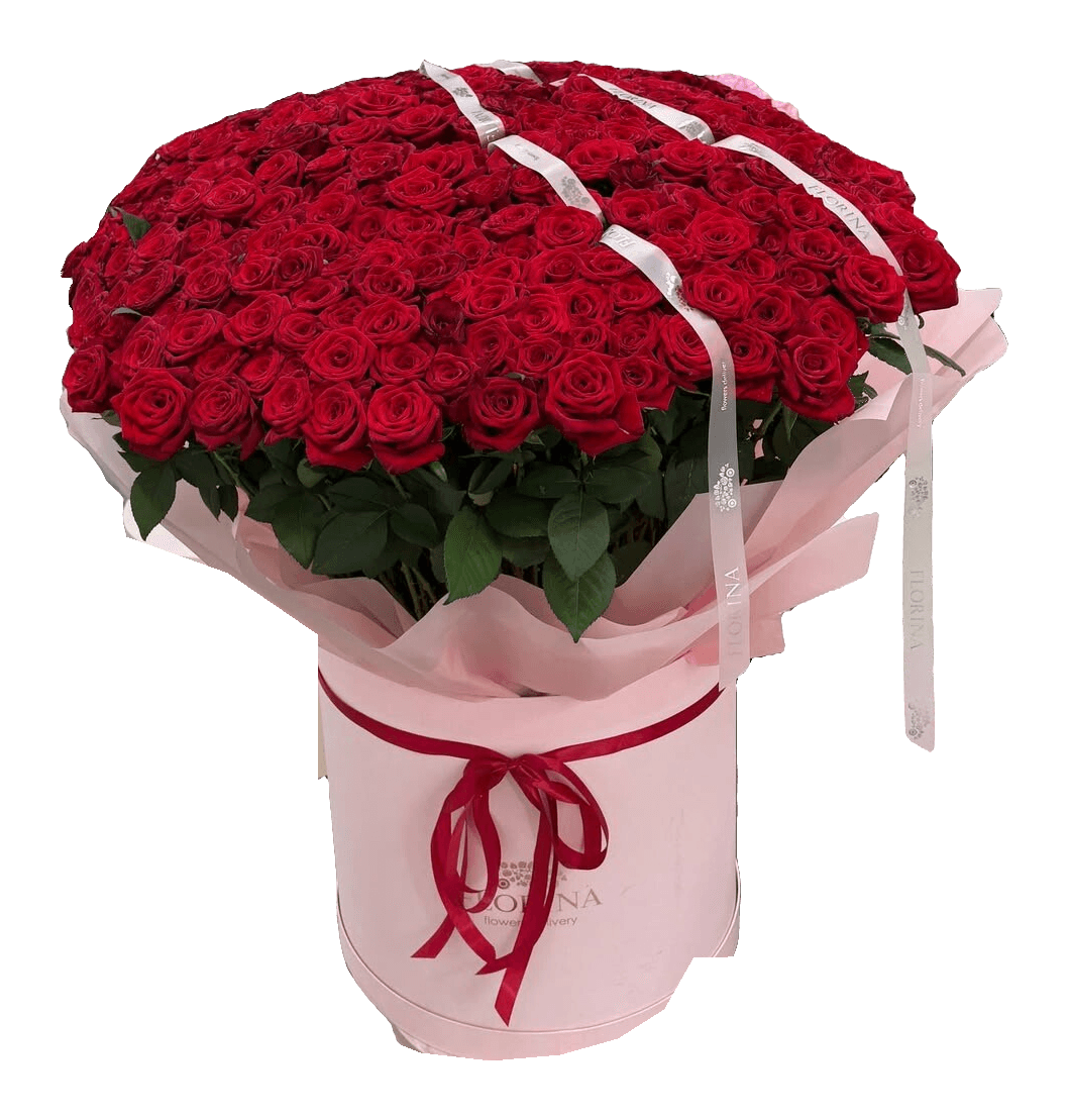 Coupole de roses rouges posée sur une boîte à chapeau rose