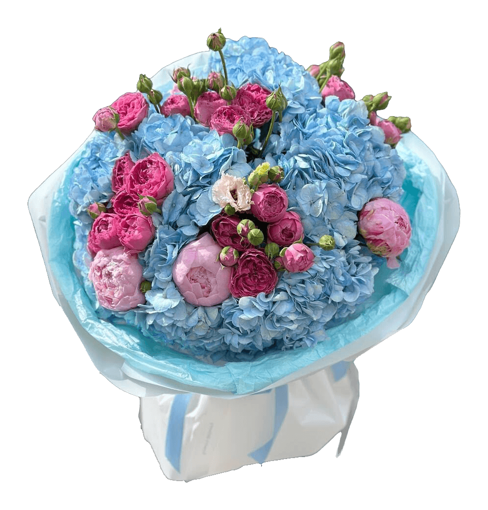 Grand bouquet d’hortensias bleus ponctué de pivoines et de roses fuchsia